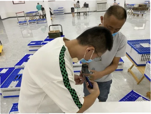 世界杯注册流程超2年？关键环节分析与建议